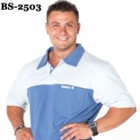 BS-2503