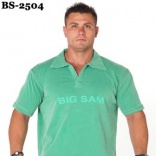 BS-2504