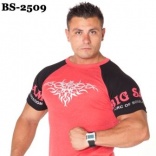 BS-2509