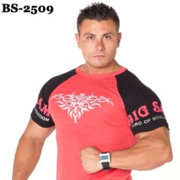BS-2509
