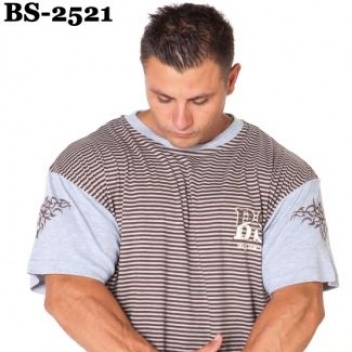 BS-2521