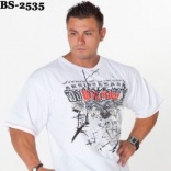 BS-2535