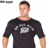 BS-2536