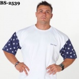 BS-2539
