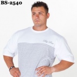 BS-2540