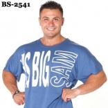 BS-2541