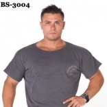 BS-3004