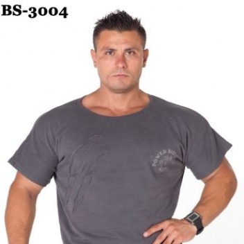 BS-3004