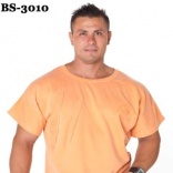 BS-3010