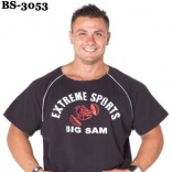 BS-3053