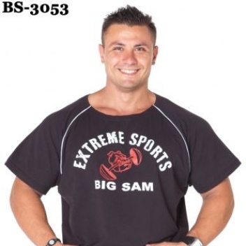 BS-3053