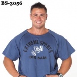 BS-3056