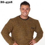 BS-4528