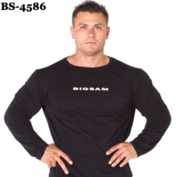 BS-4586