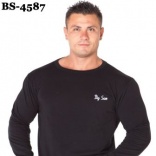 BS-4587