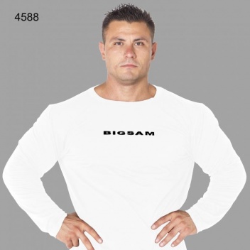 BS-4588