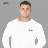 BS-4589