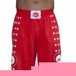 BS-856