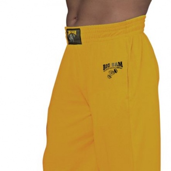 BS-866