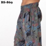 BS-869