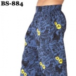 BS-884